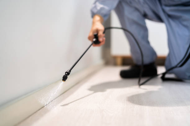 Licensed Pest Control service in Lincoln Park, CO - Show Me Pest Control