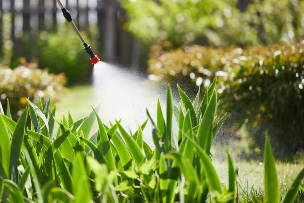 Tamper-Resistant Bait Stations for Rodents in Lincoln Park