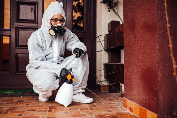 Attic and Crawl Space Rodent Treatment in Lincoln Park